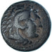Münze, Kingdom of Macedonia, Æ, S+, Bronze