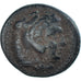 Coin, Kingdom of Macedonia, Æ, VF(30-35), Bronze