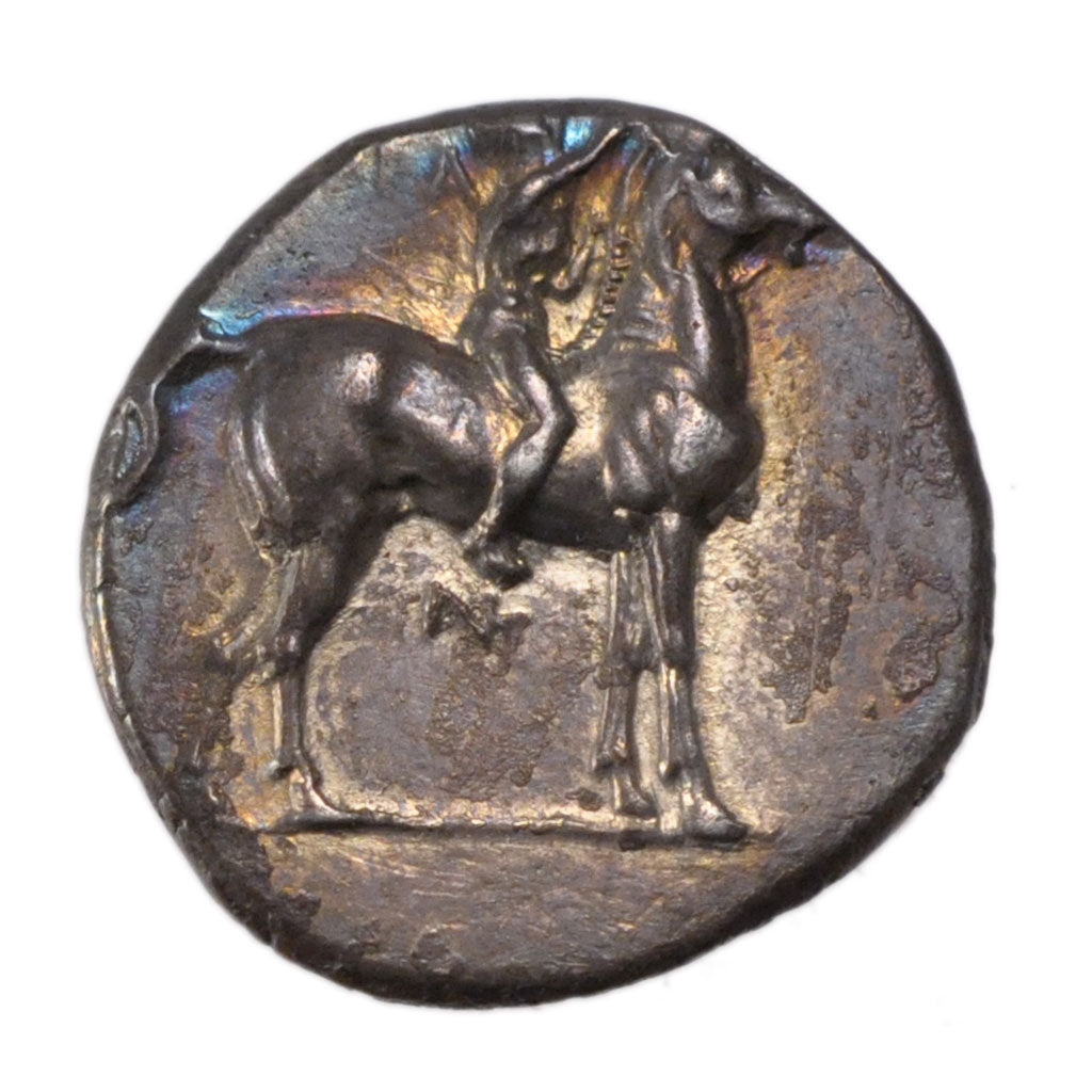 Calabria, Taranto (281-272 BC), Stater, Tarentum, AU(55-58), Silver, Pozzi...