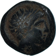Coin, Kingdom of Macedonia, Æ, VF(30-35), Bronze