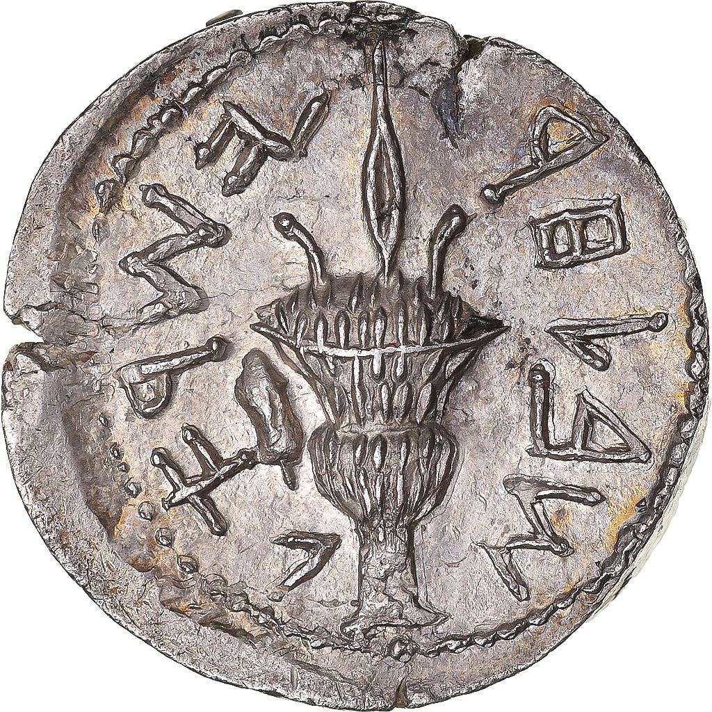 Monnaie, Judée, Sela - Tetradrachm, 133-134, Bar Kochba Revolt, SUP+, Argent