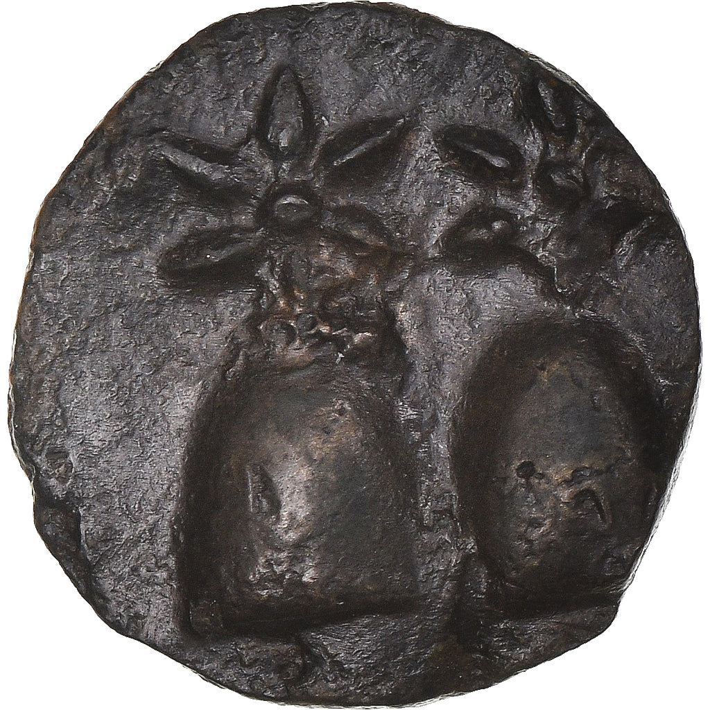 Coin, Kolchis, Æ, 105-90 BC, Dioskourias, AU(50-53), Bronze, HGC:205