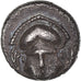 Tracja, Diobol, 450-350 BC, Mesembria, Srebro, AU(50-53), Sear:1673