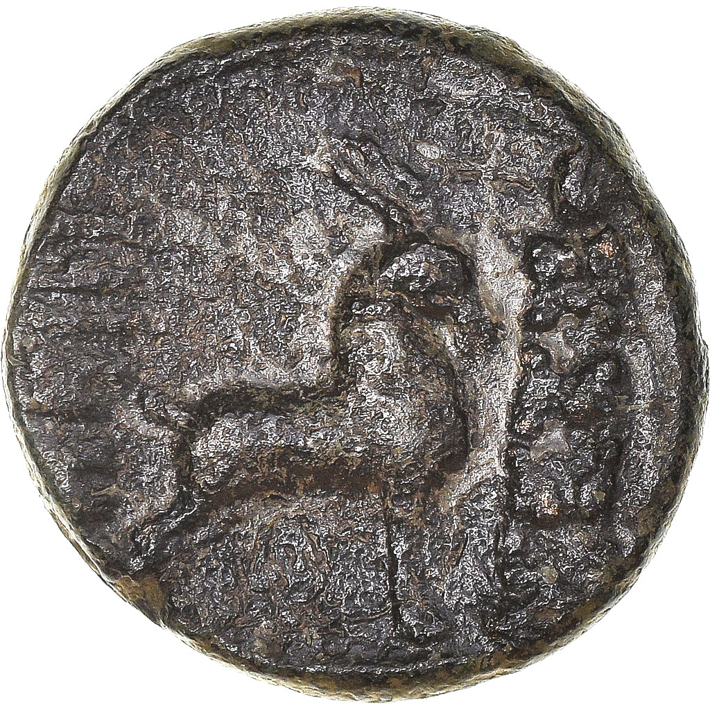 Moneta, Macedonia, Æ, 187-31 BC, Thessalonica, MB+, Bronzo