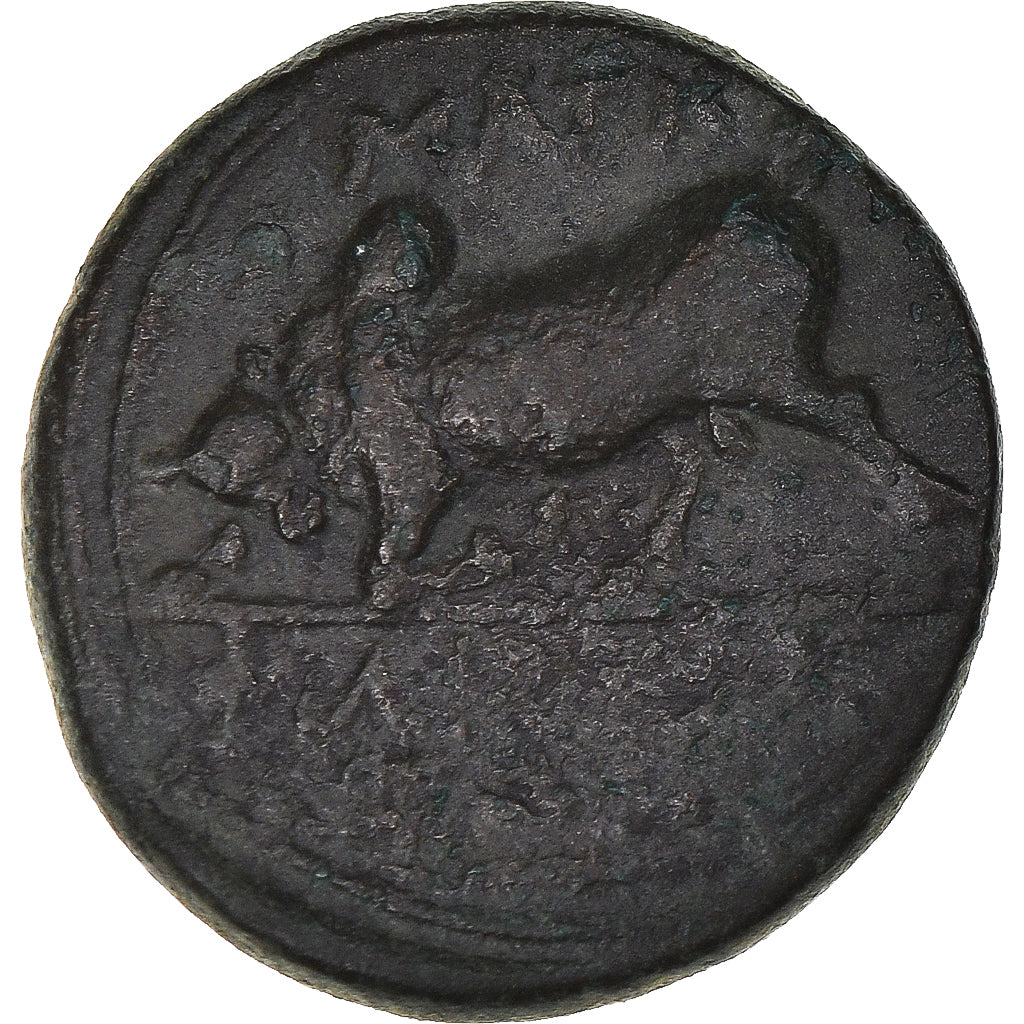 Monnaie, Ionie, Æ, ca. 350-200 BC, Magnesia ad Maeandrum, TTB, Bronze