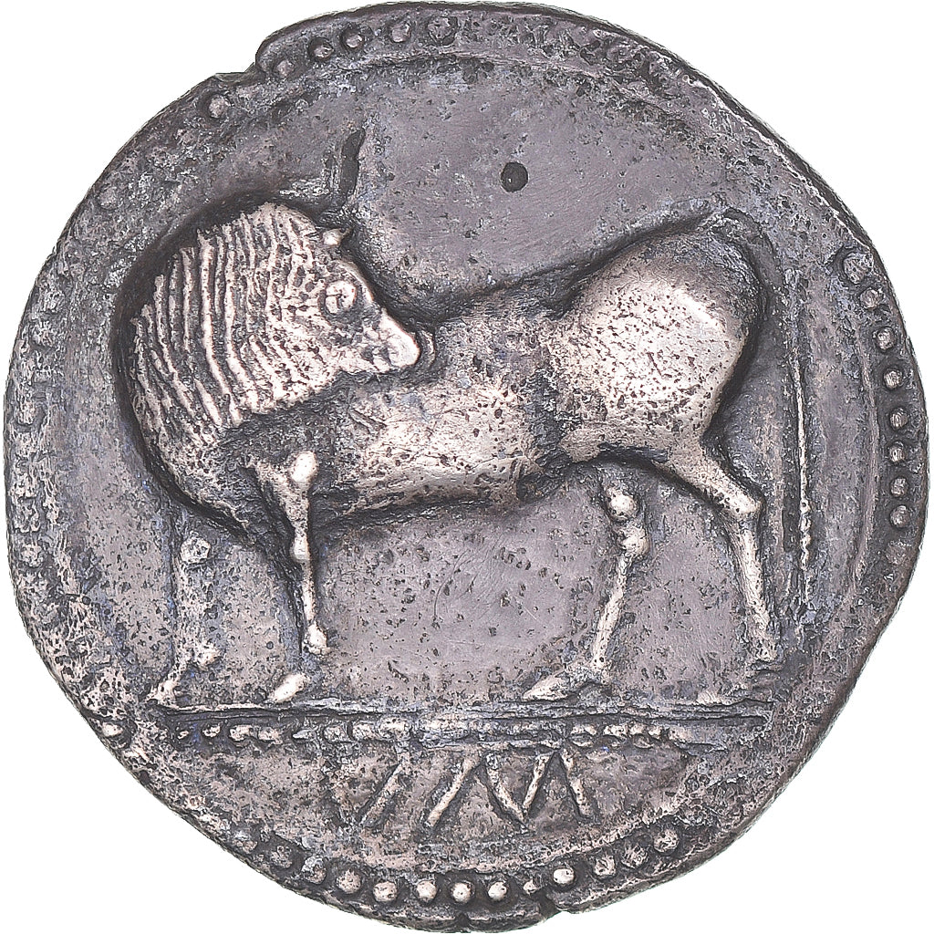 Moneta, Lucania, Stater, ca. 550-510 BC, Sybaris, BB, Argento, HN Italy:1729