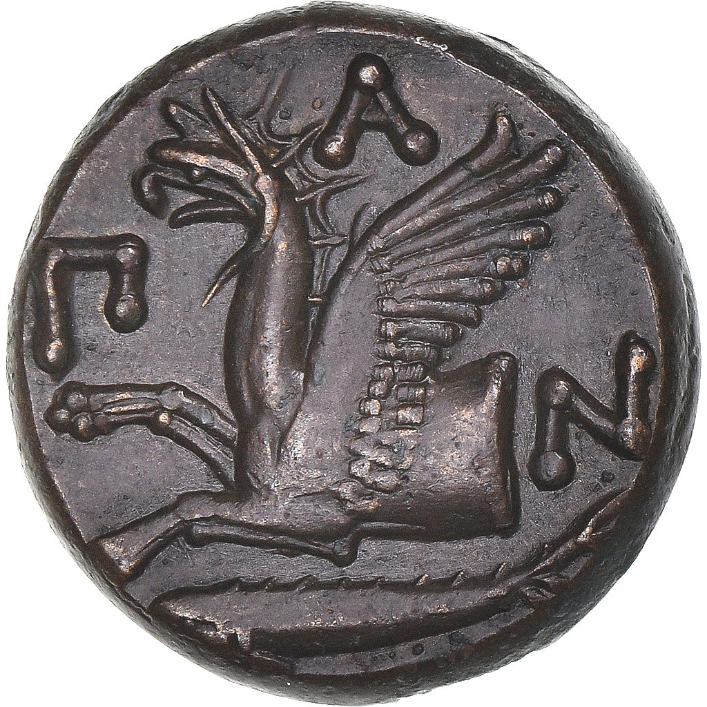 Moneta, Cimmerian Bosporos, Æ, ca. 310-304/3 BC, Pantikapaion, BB+, Bronzo