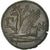 Moeda, Bósforo Cimério, Æ, ca. 310-304/3 BC, Pantikapaion, AU(50-53), Bronze
