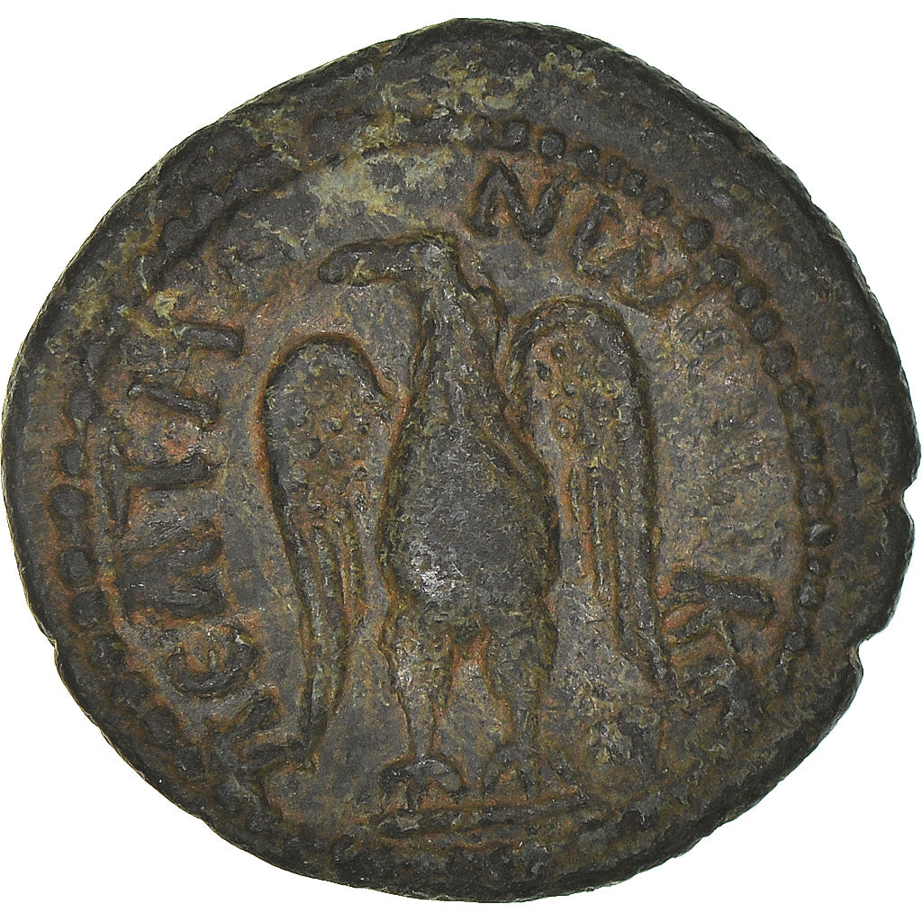 Münze, Phrygia, Geta, Assarion, 209-211, Peltai, SS, Bronze
