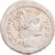 Coin, Sergia, Denarius, 116-115 BC, Rome, VF(30-35), Silver, Crawford:286/1