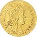 Monnaie, France, Louis XIV, Louis d'or à la mèche longue, 1648, Paris, lis