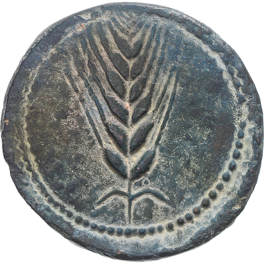 Moneda, Spain, As, ca. 50 BC, Alcala del Rio, ILIPENSE, EBC, Bronce