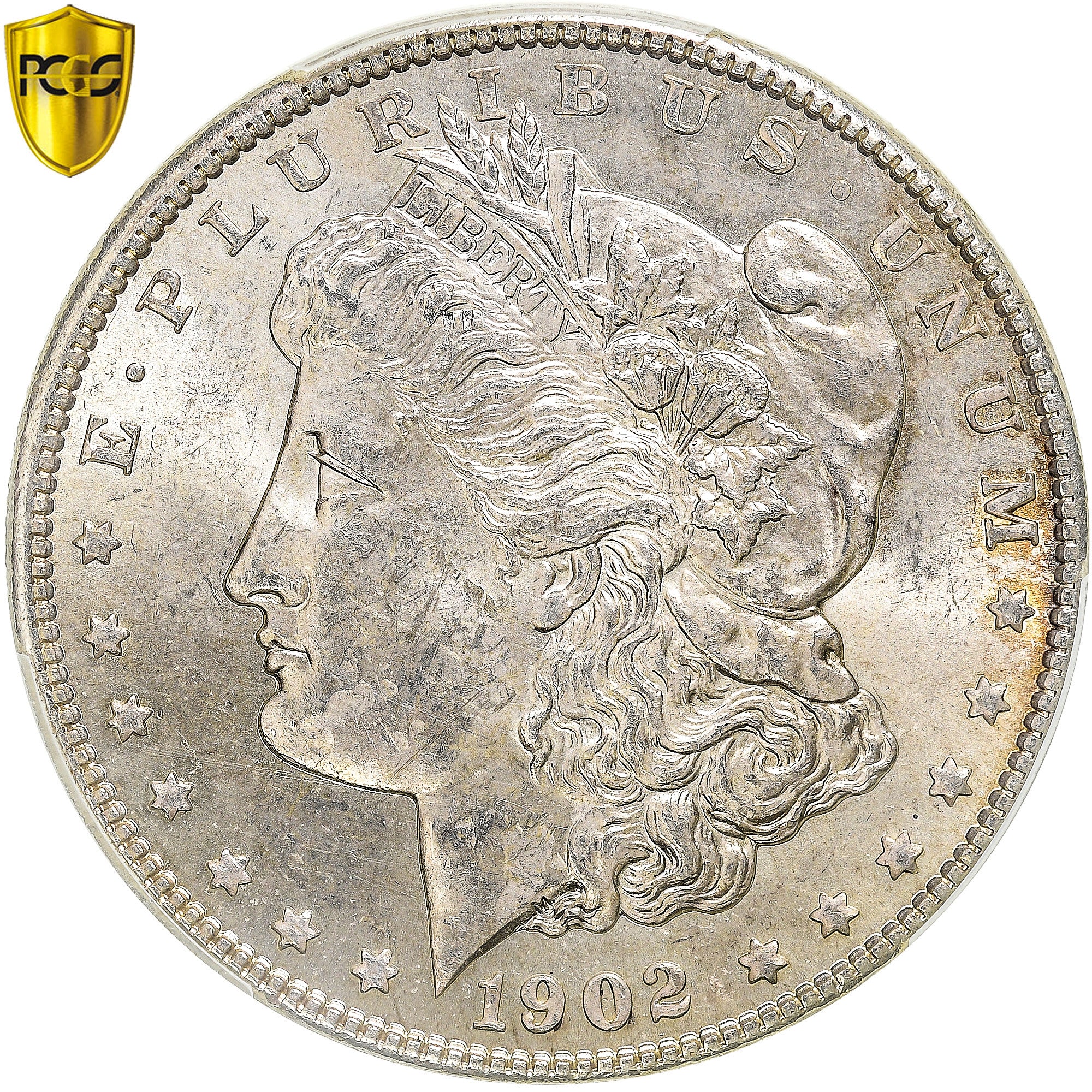 Monnaie, États-Unis, Morgan dollar, 1902, U.S. Mint, New Orleans, PCGS, MS61
