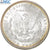 Moneda, Estados Unidos, Morgan dollar, 1885, U.S. Mint, New Orleans, NGC, MS64