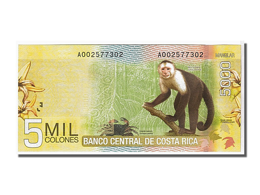 Costa Rica, 5000 Colones, 2009, KM #276, UNC(65-70), A002577302