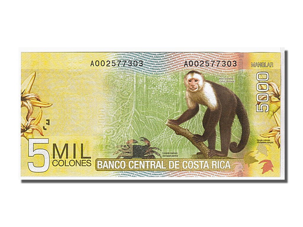 Costa Rica, 5000 Colones, 2009, KM #276, UNC(65-70), A002577303