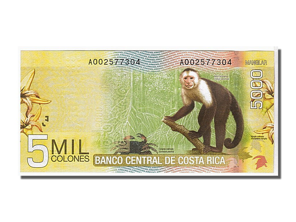 Costa Rica, 5000 Colones type 2009