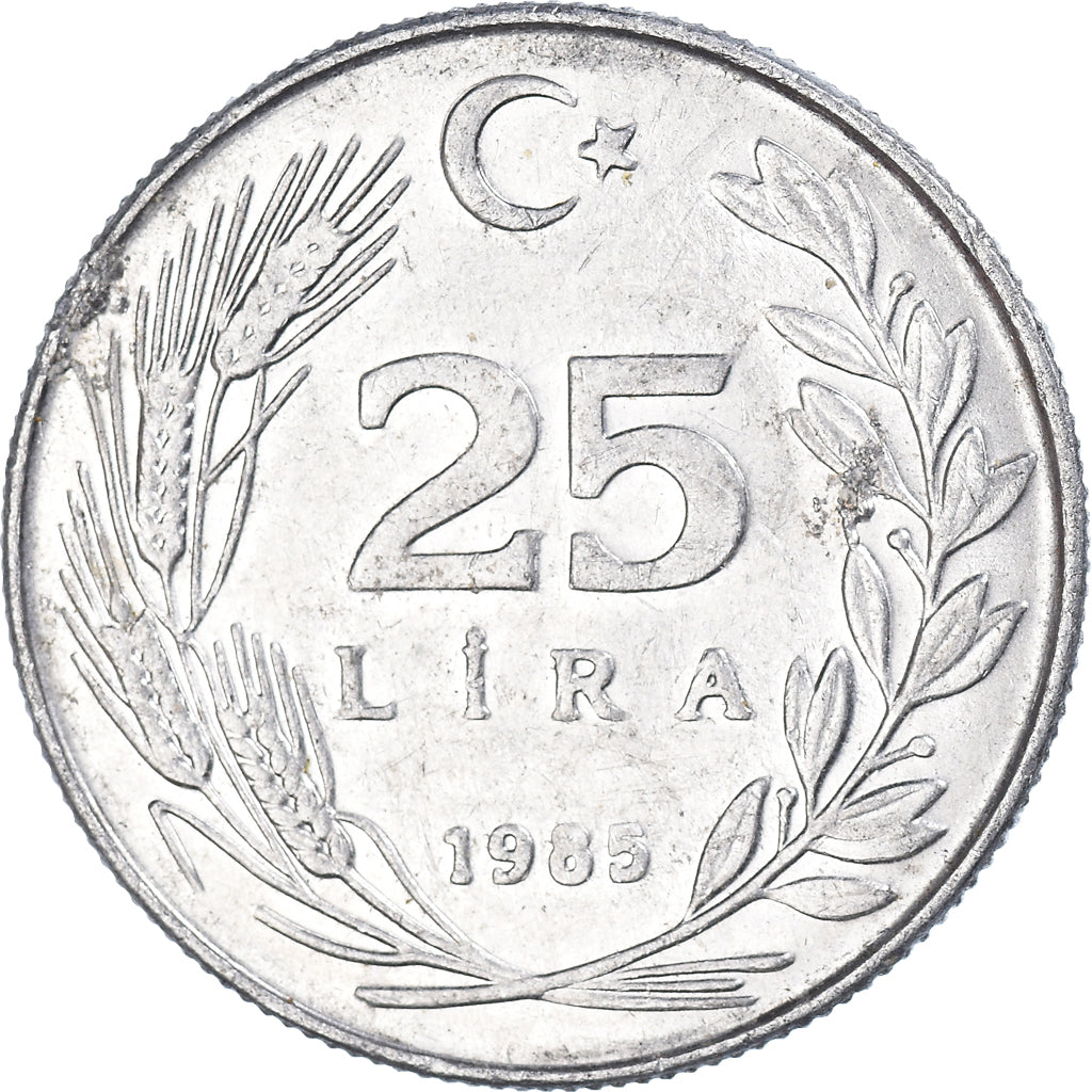 Moneda, Turquía, 25 Lira, 1985