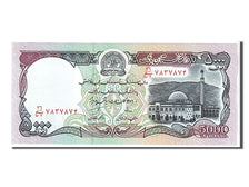 Afghanistan, 5000 Afghanis, 1993, KM #62, UNC(65-70)