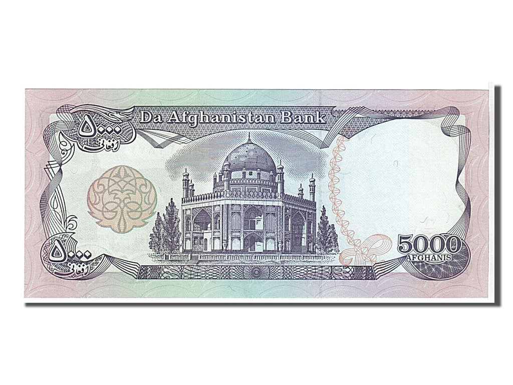 Afghanistan, 5000 Afghanis, 1993, KM #62, UNC(65-70)