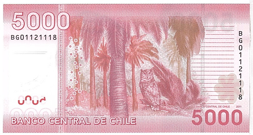 Billete, 5000 Pesos, 2011, Chile, UNC