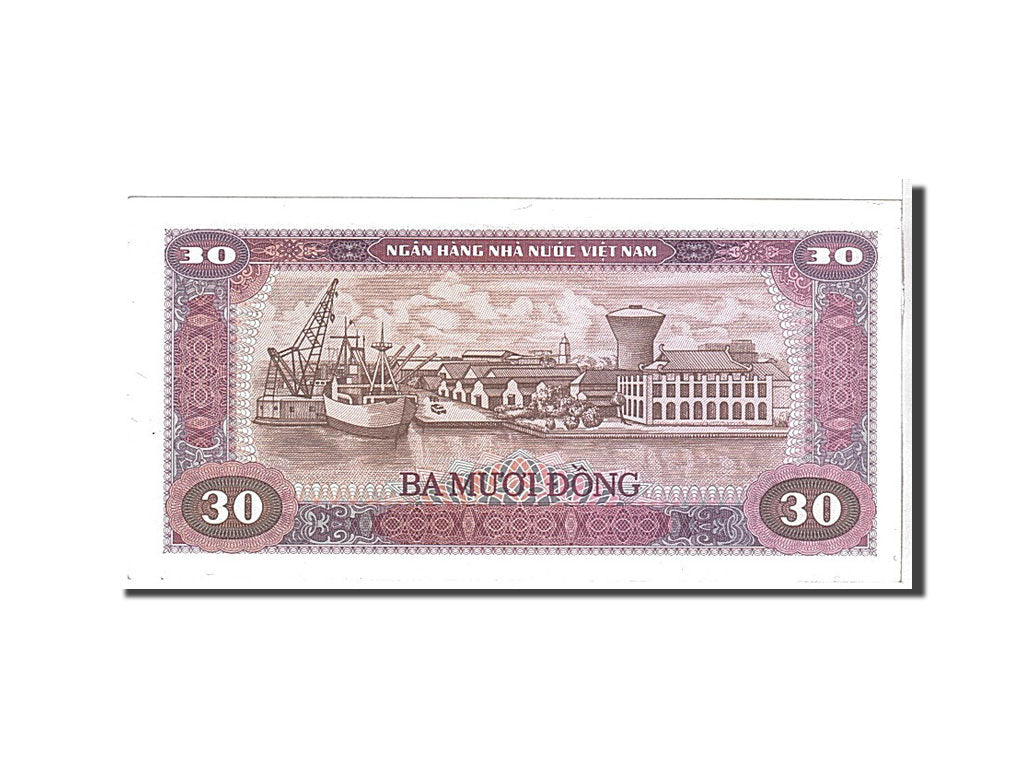 Viet Nam, 30 D<ox>ng, 1981, KM #87a, UNC(65-70), IB0574811