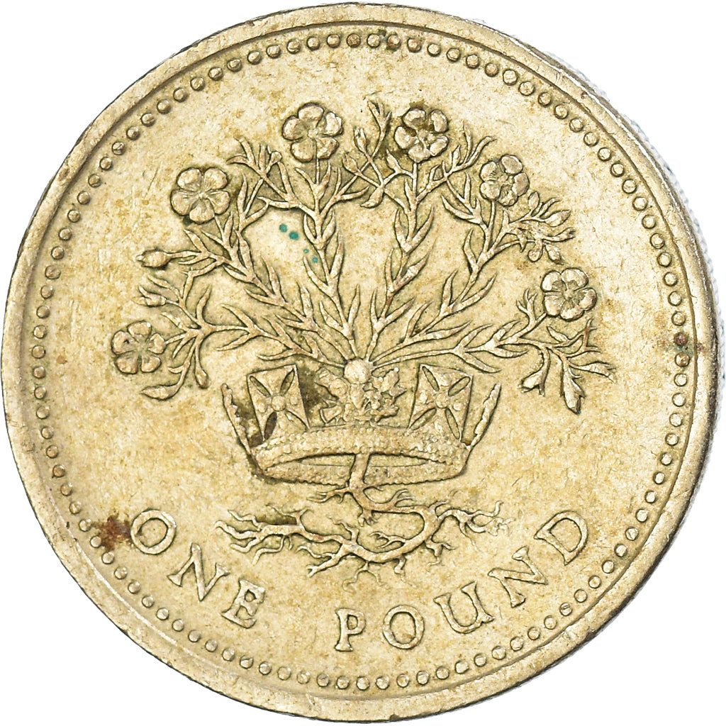 Moneda, Gran Bretaña, Pound, 1991
