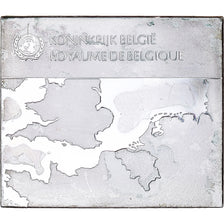 França, medalha, Les Drapeaux des Nations-Unies, ROYAUME DE BELGIQUE