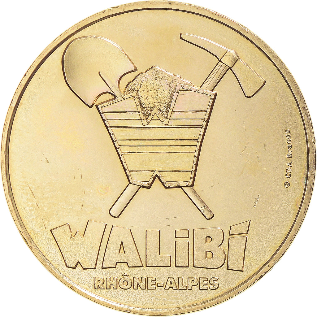 France, Jeton, Jeton Touristique, 38/LES AVENIERES - Parc Walibi Rhône-Alpes