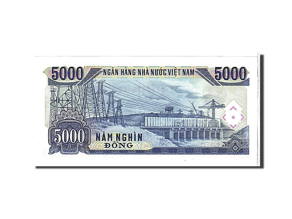 Banknote, Viet Nam, 5000 D<ox>ng, 1991, UNC(65-70)