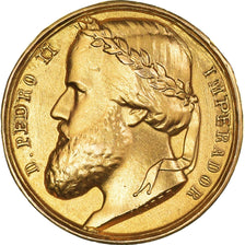 Brasil, medalha, 1866, MS(65-70), Dourado