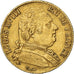 Coin, France, Louis XVIII, Louis XVIII, 20 Francs, 1814, Paris, EF(40-45), Gold