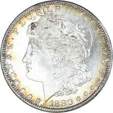 Moneta, Stati Uniti, Morgan Dollar, Dollar, 1880, U.S. Mint, San Francisco, SPL