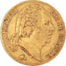 Münze, Frankreich, Louis XVIII, Louis XVIII, 20 Francs, 1824, Paris, S+, Gold