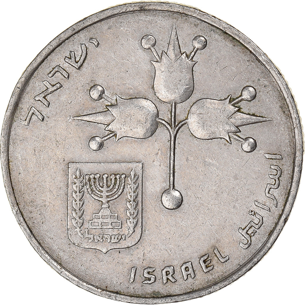 Münze, Israel, Agora, 1976