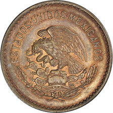 Coin, Mexico, 5 Centavos, 1953