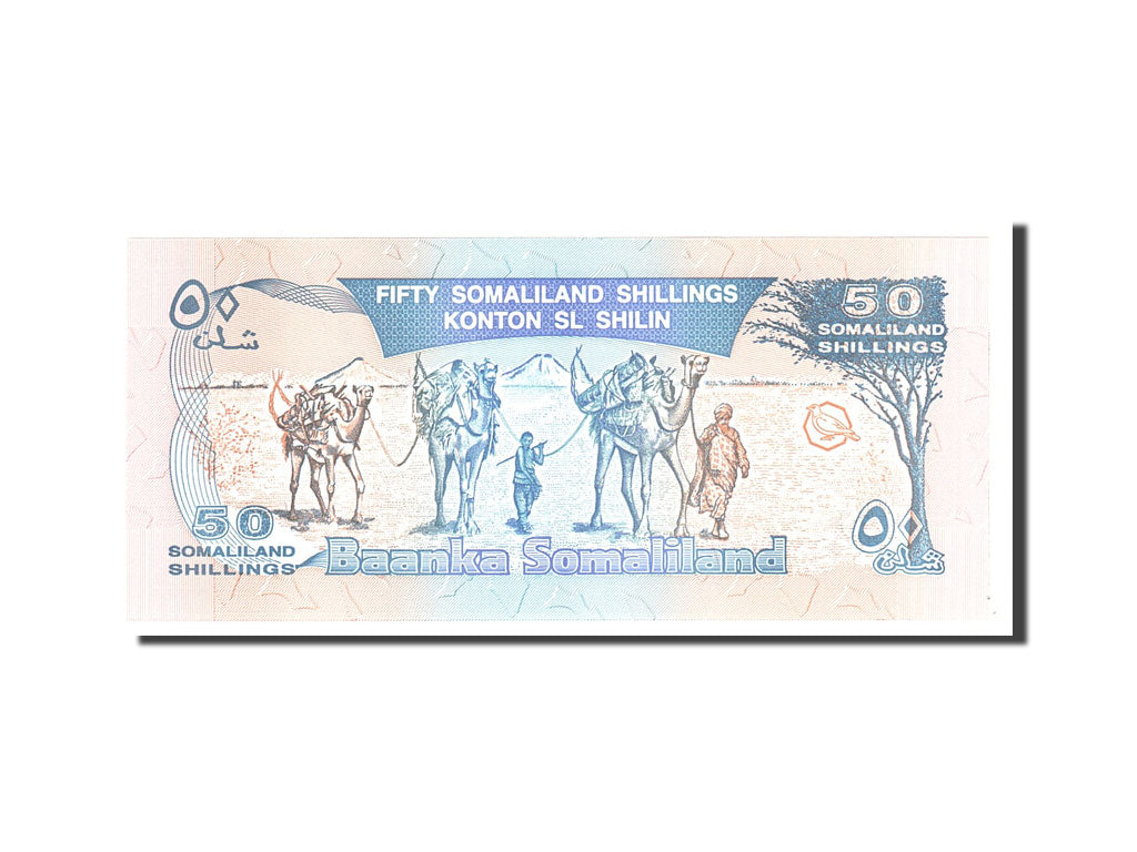 Banknote, Somaliland, 50 Shillings = 50 Shilin, 1996, Undated, KM:17a