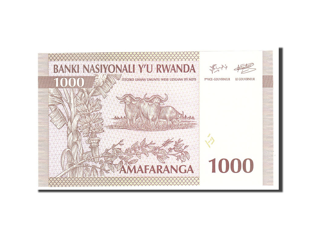 Banknote, Rwanda, 1000 Francs, 1994, 1994-12-01, KM:24a, UNC(65-70)