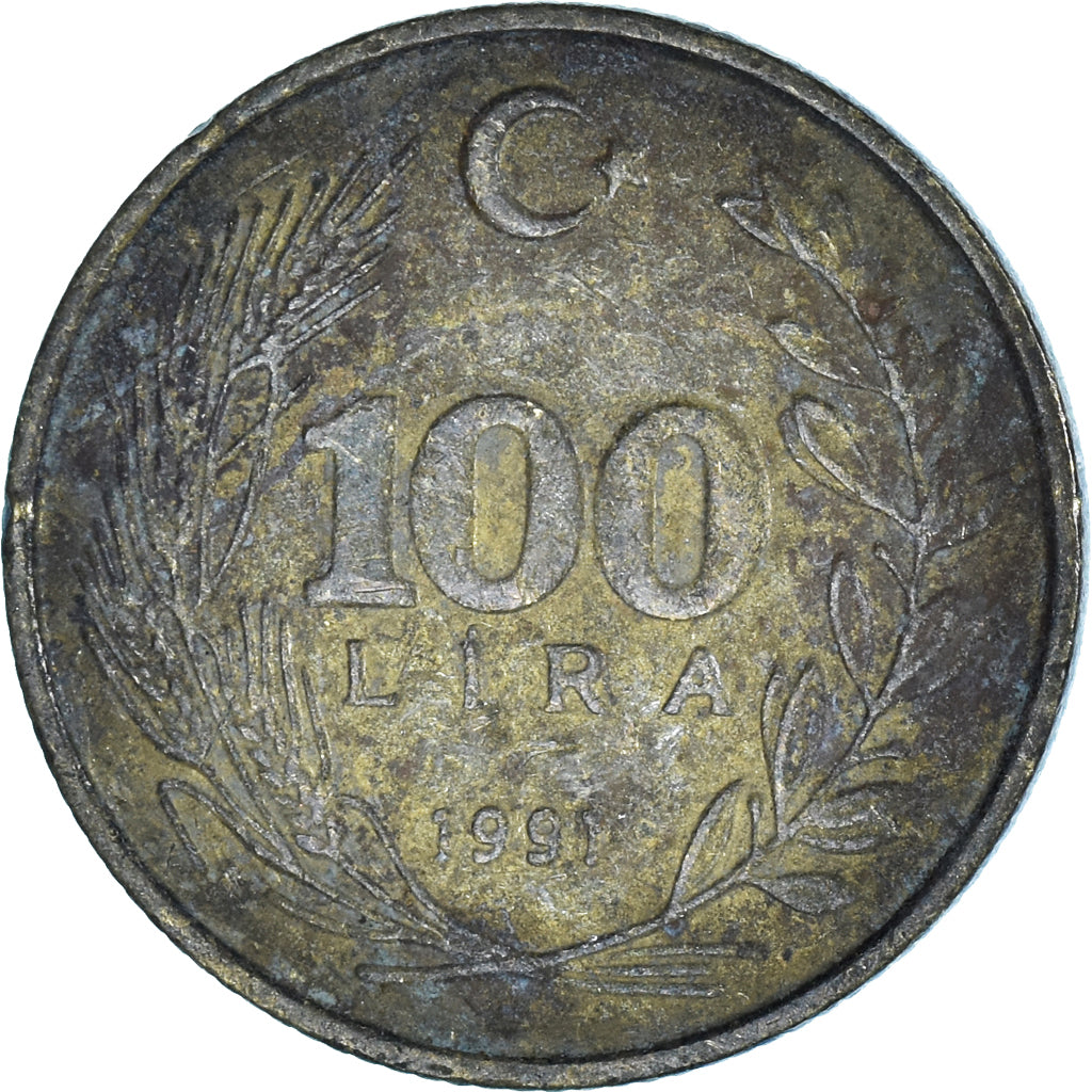 Moneta, Turchia, 100 Lira, 1991