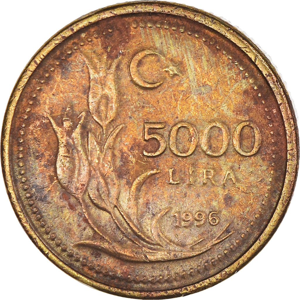 Monnaie, Turquie, 5000 Lira, 1996, TB, Laiton, KM:1029.1