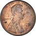 Moneta, Stati Uniti, Lincoln Cent, Cent, 1991, U.S. Mint, Philadelphia, MB+