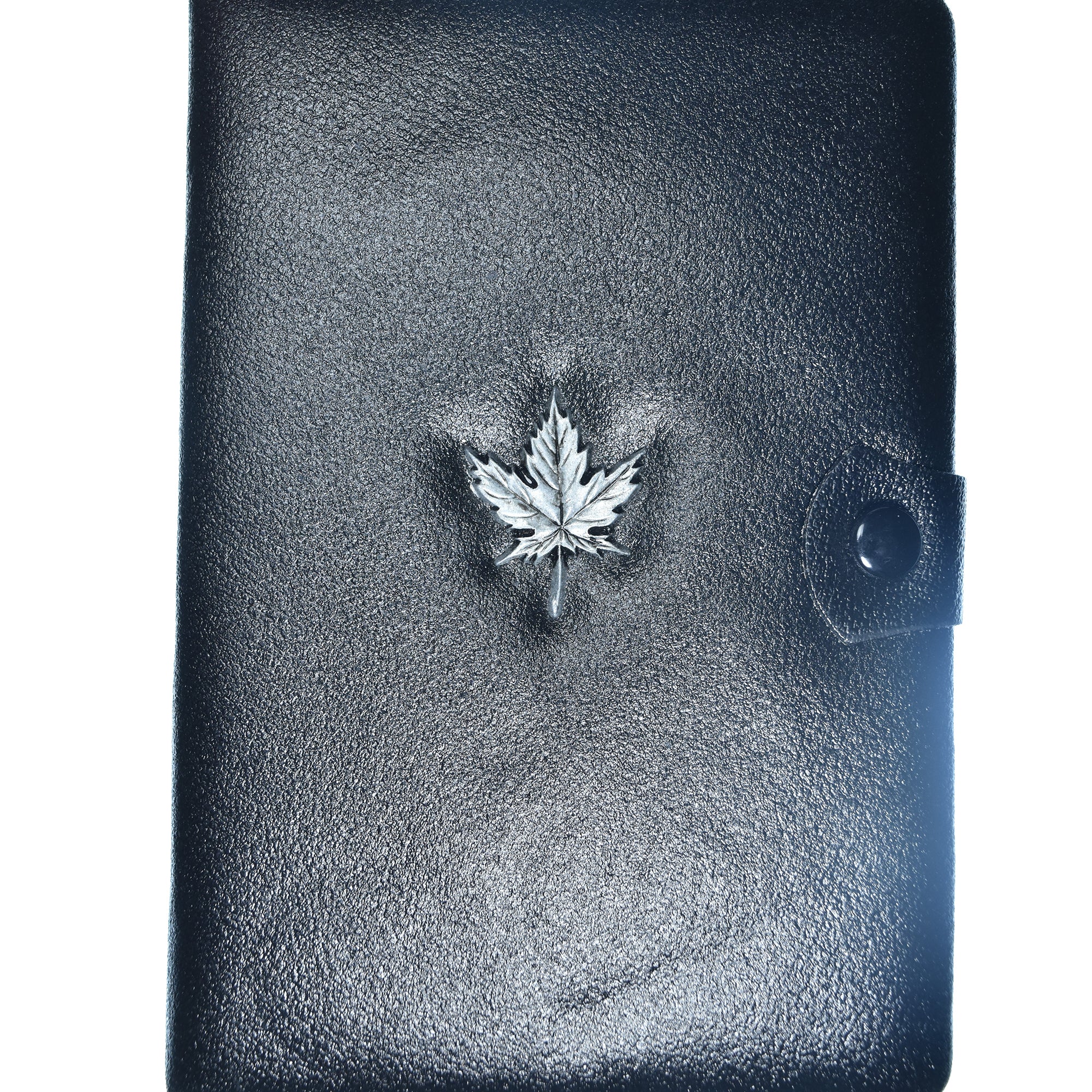 Moneta, Canada, Set, 1981, Royal Canadian Mint, Set 7 Monnaies.BE, MS(65-70), ND