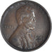 Münze, Vereinigte Staaten, Lincoln Cent, Cent, 1955, U.S. Mint, Denver, SS