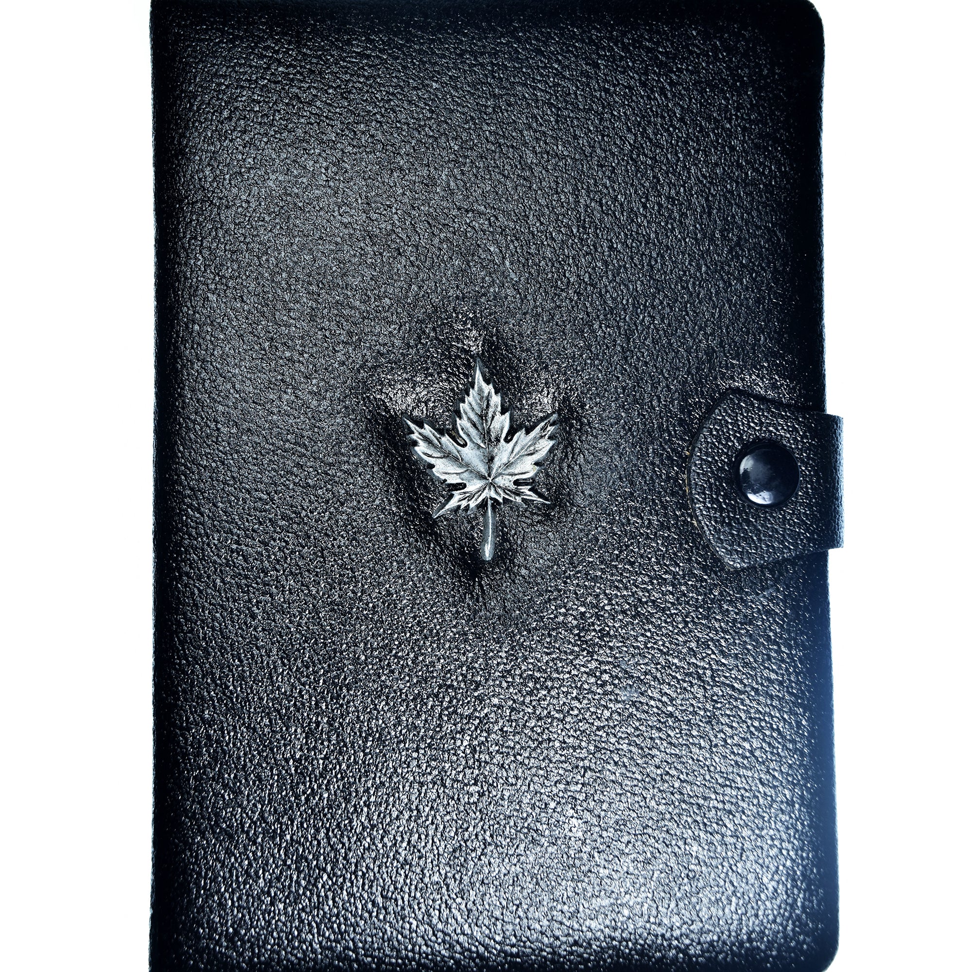 Moeda, Canadá, Set, 1981, Royal Canadian Mint, Set 7 Monnaies.BE, MS(65-70)