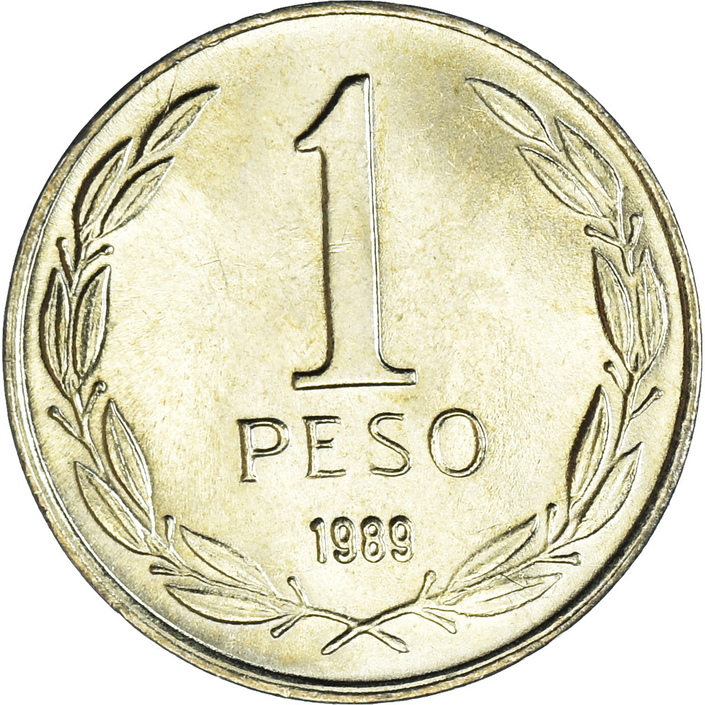 Moneda, Chile, Peso, 1989, Santiago, SC, Aluminio - bronce, KM:216.2