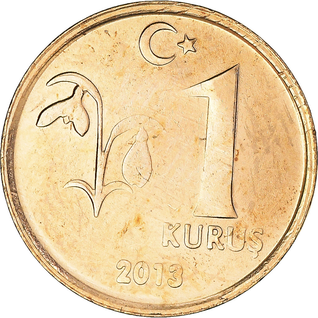 Moneta, Turchia, Kurus, 2013, SPL, Ottone, KM:1239