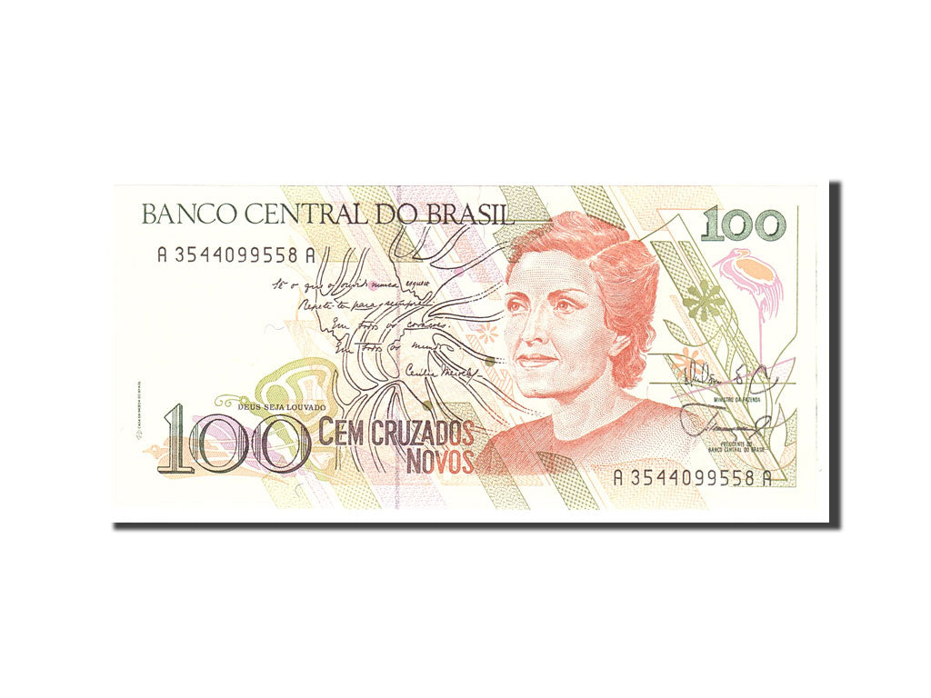 Banknote, Brazil, 100 Cruzados Novos, 1989, Undated, KM:220a, UNC(65-70)