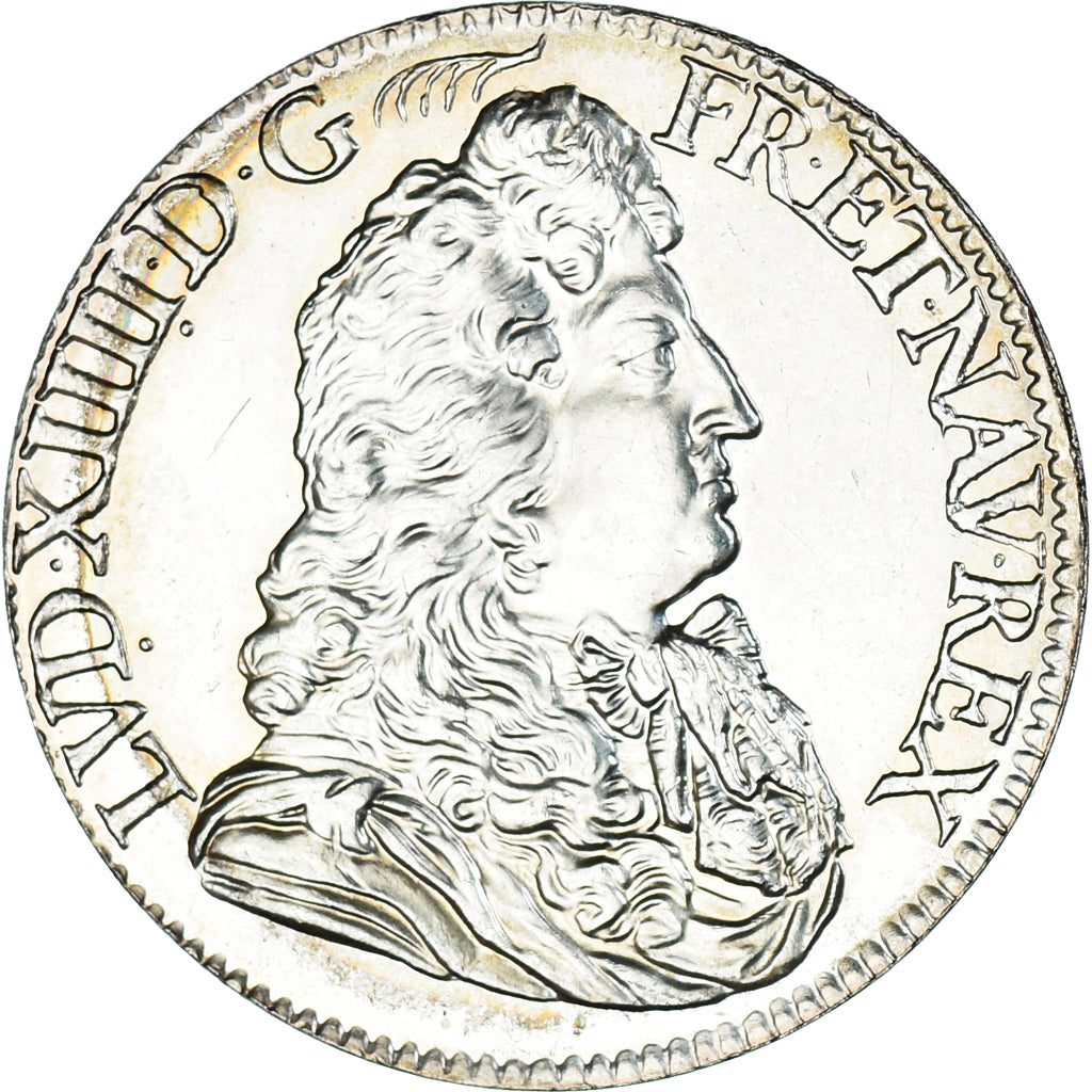 France, 10 Euro, 2019, Louis XIV, MS(60-62), Silver