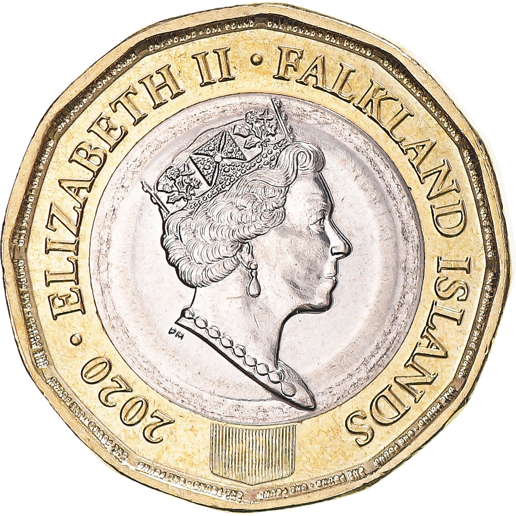 Coin, Falkland Islands, Pound, 2020, Elizabeth II, MS(63), Bi-Metallic