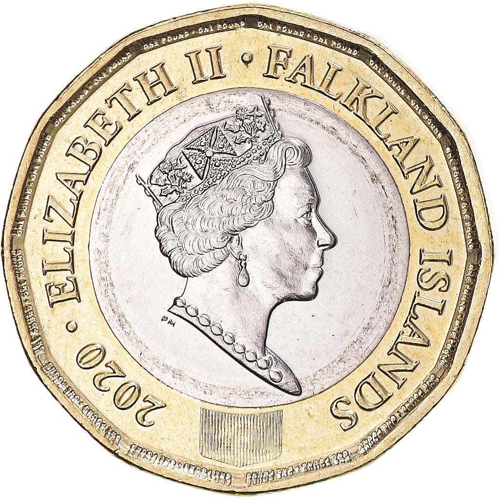 Coin, Falkland Islands, Pound, 2020, Elizabeth II, MS(63), Bi-Metallic